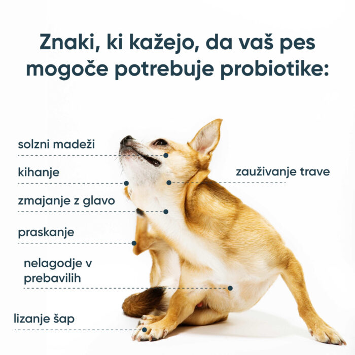 SciPet Probiotiki za pse - 4*60 kosov - slika 3